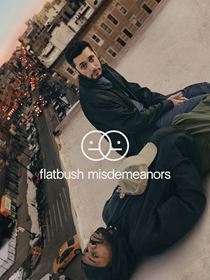 Flatbush Misdemeanors